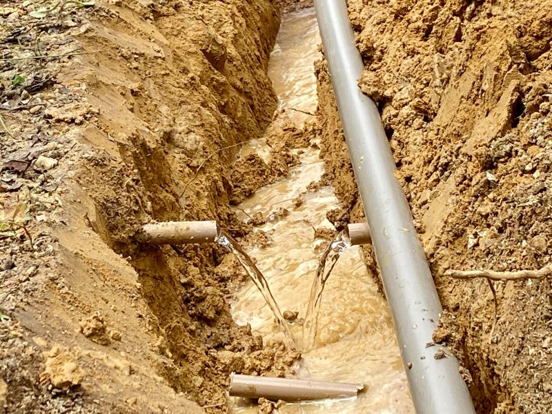  <div class='credito_fotos'>Foto: Divulgação &nbsp;&nbsp;|&nbsp;&nbsp; <a href='/midias/2021/originais/7210_815abcef-c801-53fc-6deb-9e4d335f6138.jpg' download><i class='fa-solid fa-download'></i> Download</a></div>