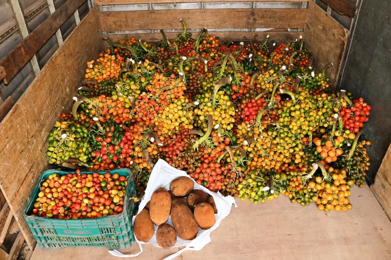  <div class='credito_fotos'>Foto: Divulgação &nbsp;&nbsp;|&nbsp;&nbsp; <a href='/midias/2021/originais/7213_c73f6cb3-05cd-581d-35d4-25b72181908e.jpg' download><i class='fa-solid fa-download'></i> Download</a></div>