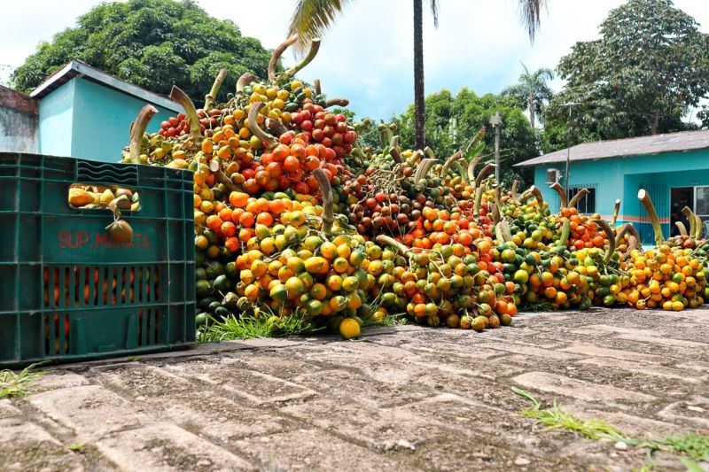  <div class='credito_fotos'>Foto: Divulgação &nbsp;&nbsp;|&nbsp;&nbsp; <a href='/midias/2021/originais/7213_f1e41b85-797e-1a92-5952-83ea24523ac0.jpg' download><i class='fa-solid fa-download'></i> Download</a></div>