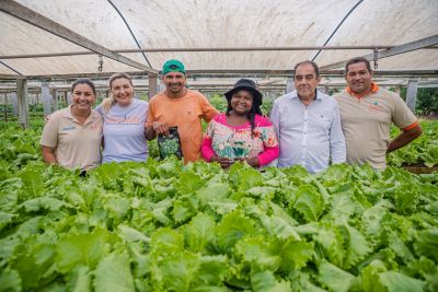 notícia: Semagri realiza Dia de Campo e apresenta potencial agrícola em Benevides