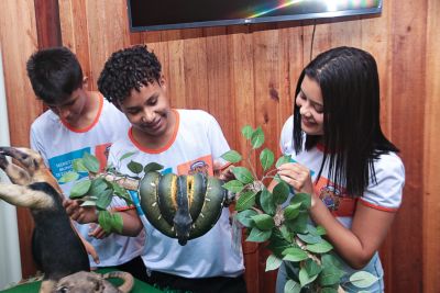 notícia: Benevides celebra o Dia da Árvore 