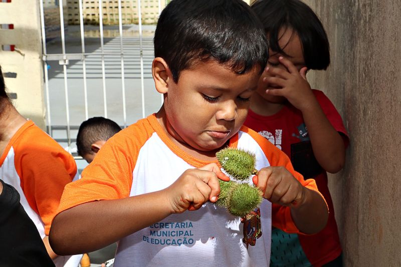 Crédito: CECOM Benevides