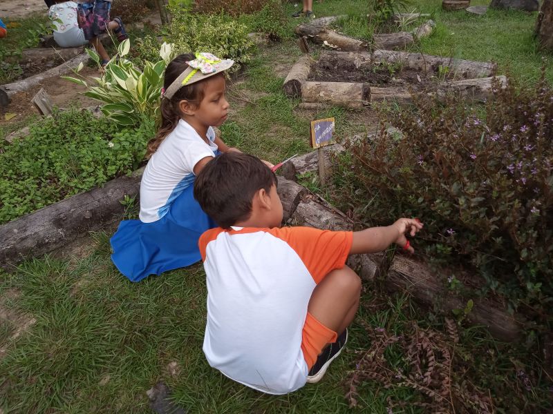 Crédito: CECOM Benevides