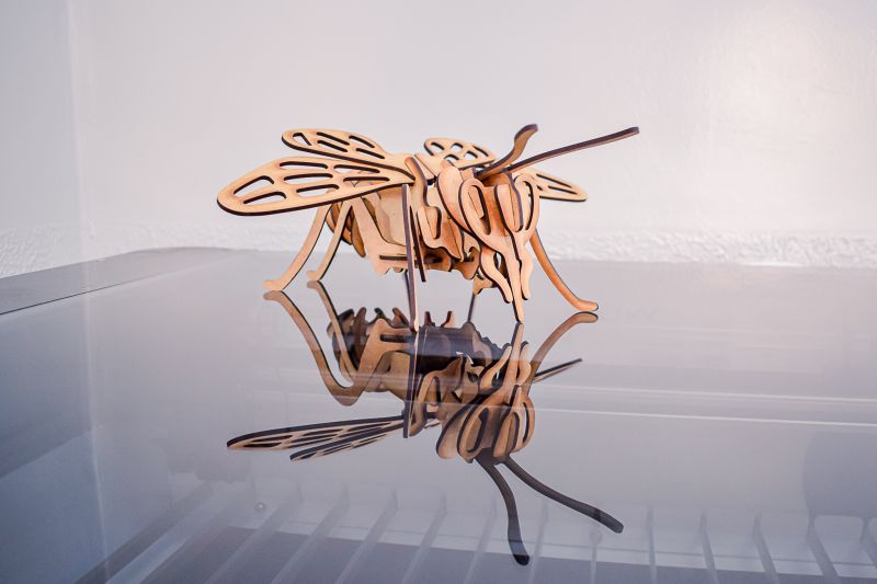  <div class='credito_fotos'>Foto: Karla Reis &nbsp;&nbsp;|&nbsp;&nbsp; <a href='/midias/2023/originais/7655_b0057717-00cc-ddc1-1b5d-9c1c599b8413.jpg' download><i class='fa-solid fa-download'></i> Download</a></div>