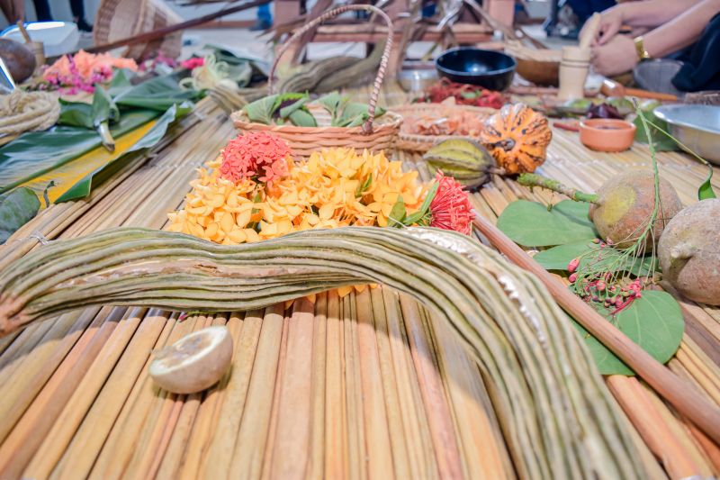  <div class='credito_fotos'>Foto: Karla Reis &nbsp;&nbsp;|&nbsp;&nbsp; <a href='/midias/2023/originais/7658_14530461-939e-3285-4536-c913131aa860.jpg' download><i class='fa-solid fa-download'></i> Download</a></div>