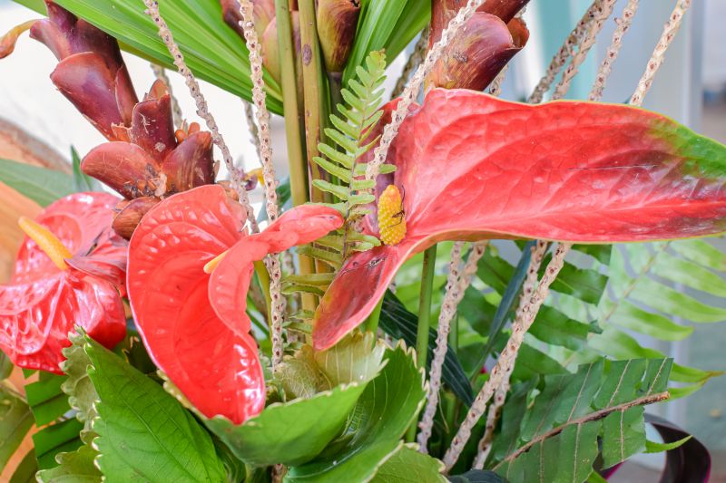  <div class='credito_fotos'>Foto: Karla Reis &nbsp;&nbsp;|&nbsp;&nbsp; <a href='/midias/2023/originais/7679_02b41d1d-4bae-1408-5eba-dfaf42f47649.jpg' download><i class='fa-solid fa-download'></i> Download</a></div>