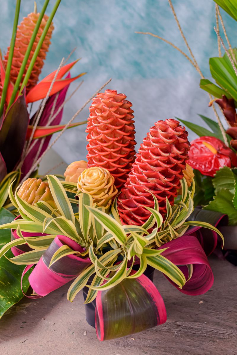  <div class='credito_fotos'>Foto: Karla Reis &nbsp;&nbsp;|&nbsp;&nbsp; <a href='/midias/2023/originais/7679_4cf3777d-6634-dce6-fd1a-4a767de05ded.jpg' download><i class='fa-solid fa-download'></i> Download</a></div>