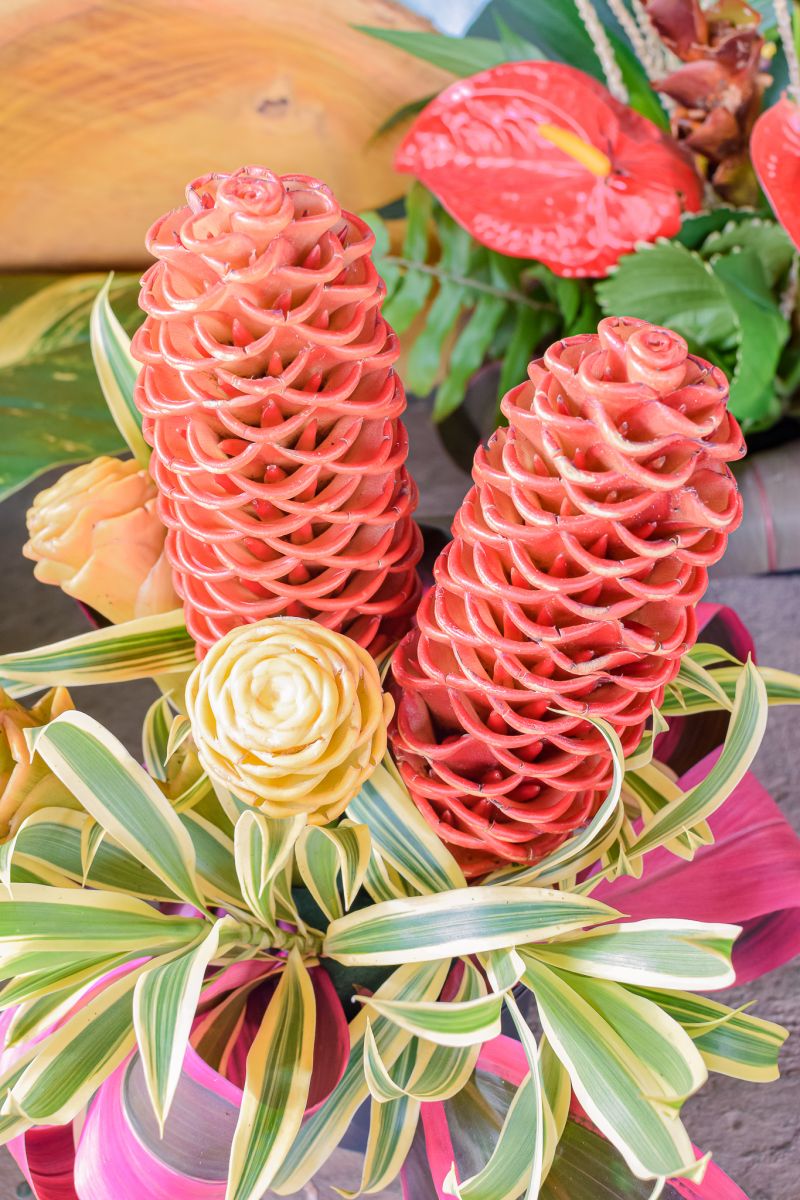  <div class='credito_fotos'>Foto: Karla Reis &nbsp;&nbsp;|&nbsp;&nbsp; <a href='/midias/2023/originais/7679_8b536fa9-989c-403c-b617-81f7aa40acc8.jpg' download><i class='fa-solid fa-download'></i> Download</a></div>