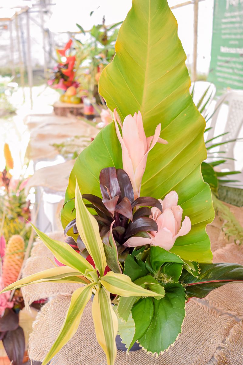  <div class='credito_fotos'>Foto: Karla Reis &nbsp;&nbsp;|&nbsp;&nbsp; <a href='/midias/2023/originais/7679_b5acb6af-8bbd-f63a-9701-e8d6da857879.jpg' download><i class='fa-solid fa-download'></i> Download</a></div>