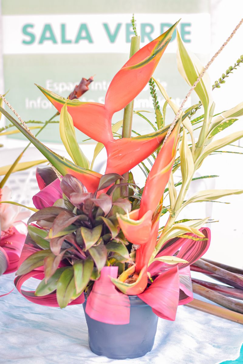  <div class='credito_fotos'>Foto: Karla Reis &nbsp;&nbsp;|&nbsp;&nbsp; <a href='/midias/2023/originais/7679_bfba80ac-925f-7b6c-50f0-396df3ee1ae3.jpg' download><i class='fa-solid fa-download'></i> Download</a></div>