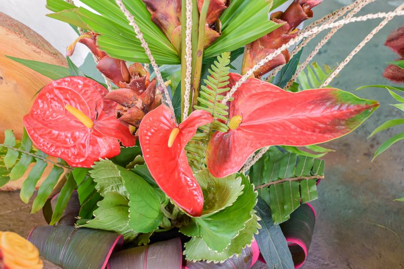  <div class='credito_fotos'>Foto: Karla Reis &nbsp;&nbsp;|&nbsp;&nbsp; <a href='/midias/2023/originais/7679_d2a22f65-330c-9fdf-12ce-fdad3898ccff.jpg' download><i class='fa-solid fa-download'></i> Download</a></div>