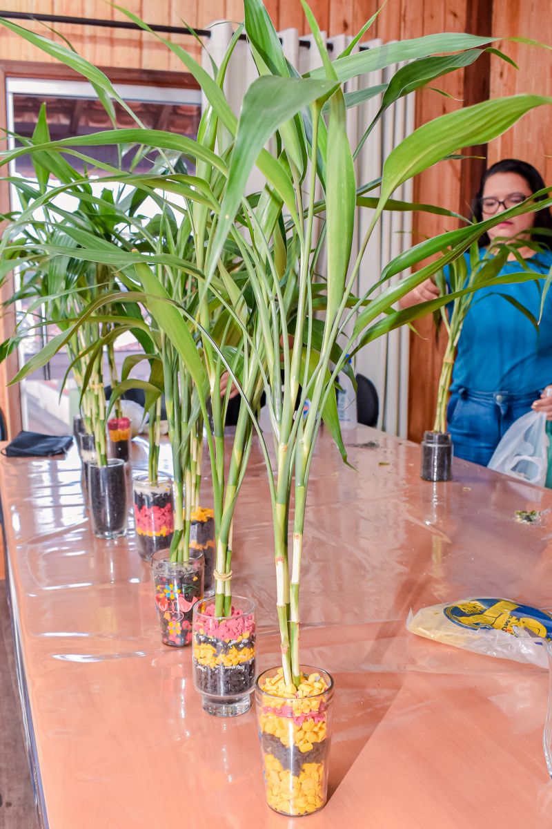  <div class='credito_fotos'>Foto: Karla Reis &nbsp;&nbsp;|&nbsp;&nbsp; <a href='/midias/2023/originais/7679_fd623f55-c6ed-2a05-6c27-89a88e025379.jpg' download><i class='fa-solid fa-download'></i> Download</a></div>