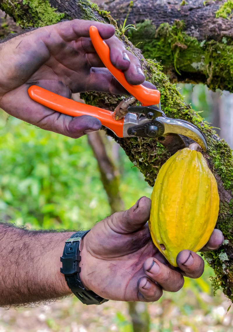  <div class='credito_fotos'>Foto: Karla Reis &nbsp;&nbsp;|&nbsp;&nbsp; <a href='/midias/2023/originais/7680_0872c031-c652-9ee6-12ec-8a29abbc3504.jpg' download><i class='fa-solid fa-download'></i> Download</a></div>