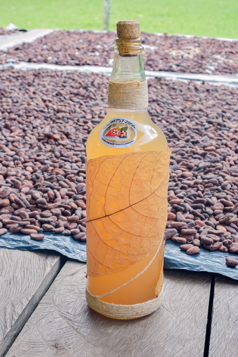  <div class='credito_fotos'>Foto: Karla Reis &nbsp;&nbsp;|&nbsp;&nbsp; <a href='/midias/2023/originais/7680_403a3257-cd9f-01c1-d4d0-44899f4fd84c.jpg' download><i class='fa-solid fa-download'></i> Download</a></div>