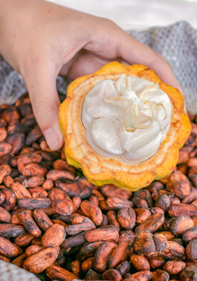  <div class='credito_fotos'>Foto: Karla Reis &nbsp;&nbsp;|&nbsp;&nbsp; <a href='/midias/2023/originais/7680_41c9921b-080d-67f1-1778-fb2fd095f360.jpg' download><i class='fa-solid fa-download'></i> Download</a></div>