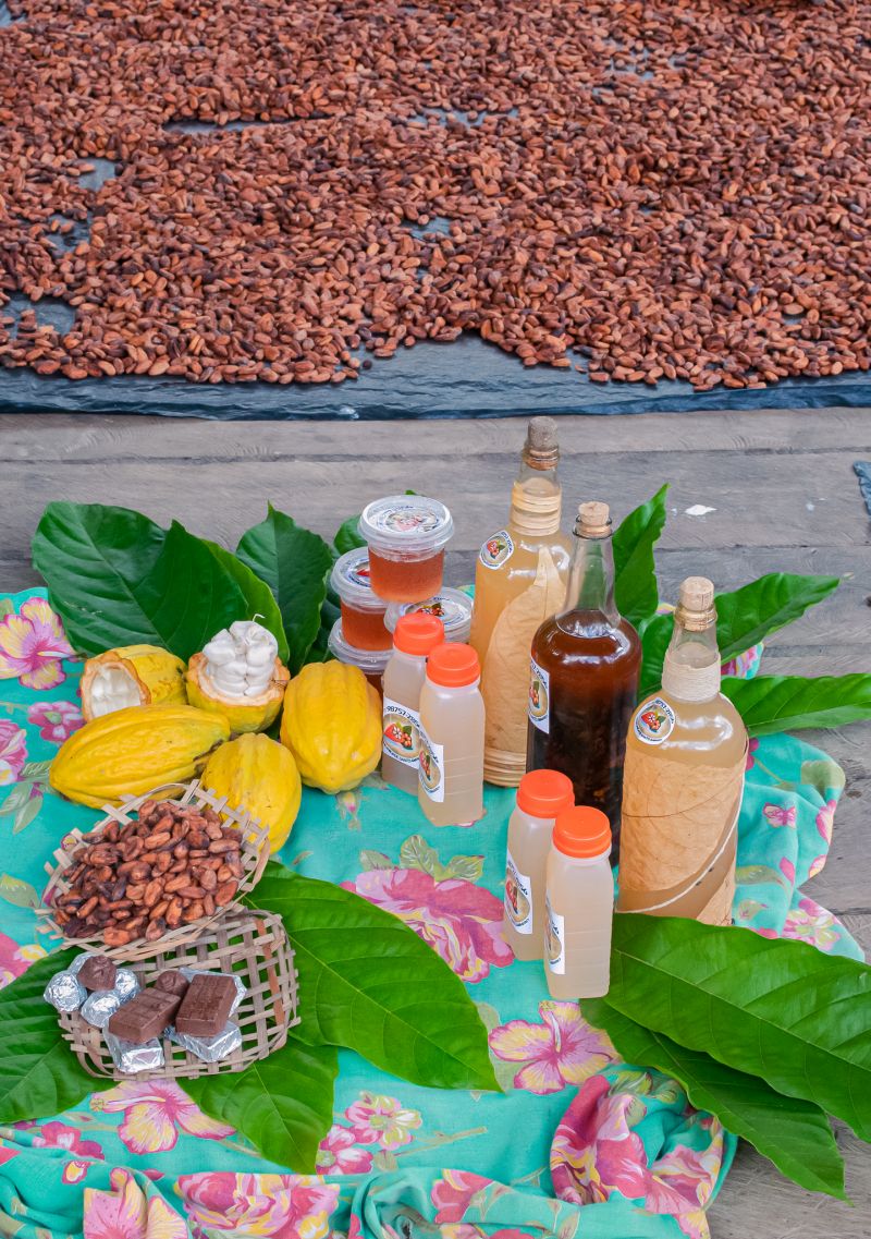  <div class='credito_fotos'>Foto: Karla Reis &nbsp;&nbsp;|&nbsp;&nbsp; <a href='/midias/2023/originais/7680_6e58c164-8935-a440-50f4-c6c43e3011e0.jpg' download><i class='fa-solid fa-download'></i> Download</a></div>