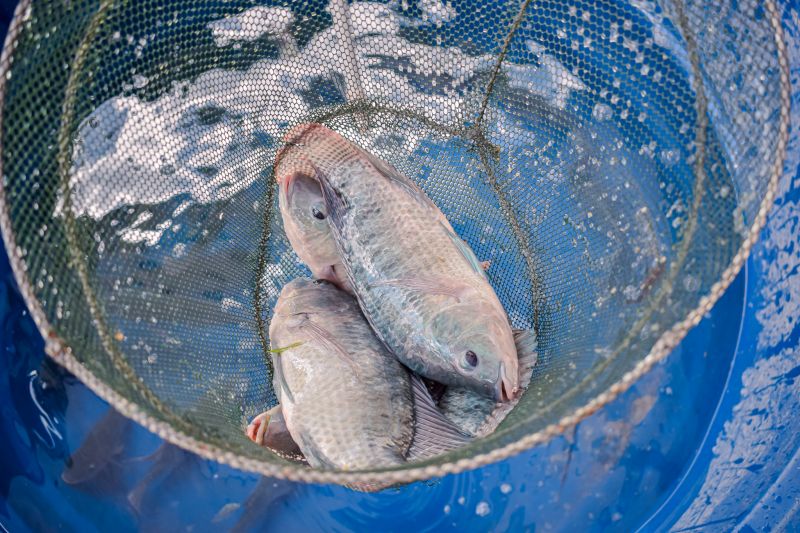  <div class='credito_fotos'>Foto: Karla Reis &nbsp;&nbsp;|&nbsp;&nbsp; <a href='/midias/2023/originais/7682_071da033-a421-69e4-7887-c5d0946a5dda.jpg' download><i class='fa-solid fa-download'></i> Download</a></div>