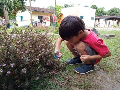 notícia: Alunos da Rede Municipal de Benevides aprendem interagindo com a natureza por meio do Projeto TiNis, Terra das Crianças