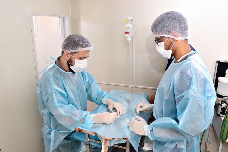 Ação Castra Móvel St Dumont 2 <div class='credito_fotos'>Foto: Márcio Souza &nbsp;&nbsp;|&nbsp;&nbsp; <a href='/midias/2024/originais/7755_0d6cf89d-c987-b42b-74b5-29f6ebd2d02d.jpg' download><i class='fa-solid fa-download'></i> Download</a></div>