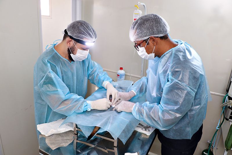 Ação Castra Móvel St Dumont 2 <div class='credito_fotos'>Foto: Márcio Souza &nbsp;&nbsp;|&nbsp;&nbsp; <a href='/midias/2024/originais/7755_638700f2-0d9b-47d4-13e2-d5ee6edc99fc.jpg' download><i class='fa-solid fa-download'></i> Download</a></div>