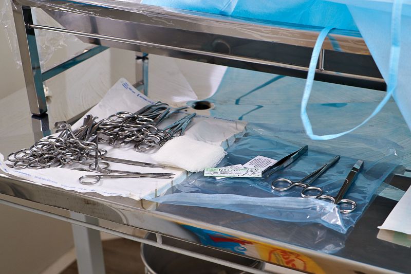 Ação Castra Móvel St Dumont 2 <div class='credito_fotos'>Foto: Márcio Souza &nbsp;&nbsp;|&nbsp;&nbsp; <a href='/midias/2024/originais/7755_f6a7152c-5f41-ac10-78da-2e4a832740dd.jpg' download><i class='fa-solid fa-download'></i> Download</a></div>