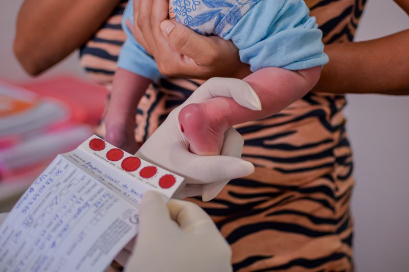  <div class='credito_fotos'>Foto: Karla Reis &nbsp;&nbsp;|&nbsp;&nbsp; <a href='/midias/2024/originais/7780_48ed8faa-32c5-effd-5b3f-e4d21ea7b79c.jpg' download><i class='fa-solid fa-download'></i> Download</a></div>