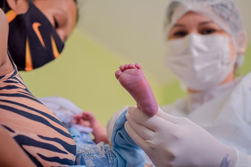  <div class='credito_fotos'>Foto: Karla Reis &nbsp;&nbsp;|&nbsp;&nbsp; <a href='/midias/2024/originais/7780_5e692b8f-2a37-c209-52a9-3ae150188b36.jpg' download><i class='fa-solid fa-download'></i> Download</a></div>