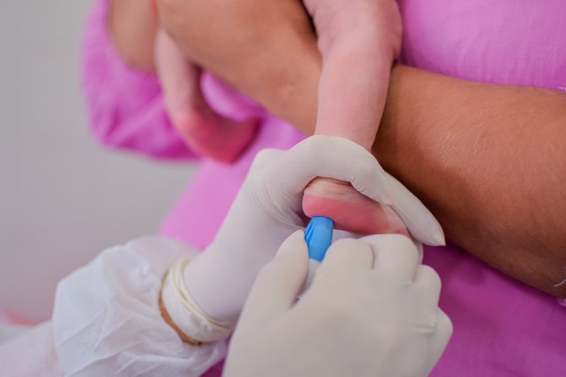  <div class='credito_fotos'>Foto: Karla Reis &nbsp;&nbsp;|&nbsp;&nbsp; <a href='/midias/2024/originais/7780_778b44c9-759f-ebd6-d013-7140e1f691f3.jpg' download><i class='fa-solid fa-download'></i> Download</a></div>