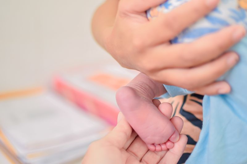  <div class='credito_fotos'>Foto: Karla Reis &nbsp;&nbsp;|&nbsp;&nbsp; <a href='/midias/2024/originais/7780_acd0f886-ac26-c731-a42f-65c64dd5ed9e.jpg' download><i class='fa-solid fa-download'></i> Download</a></div>