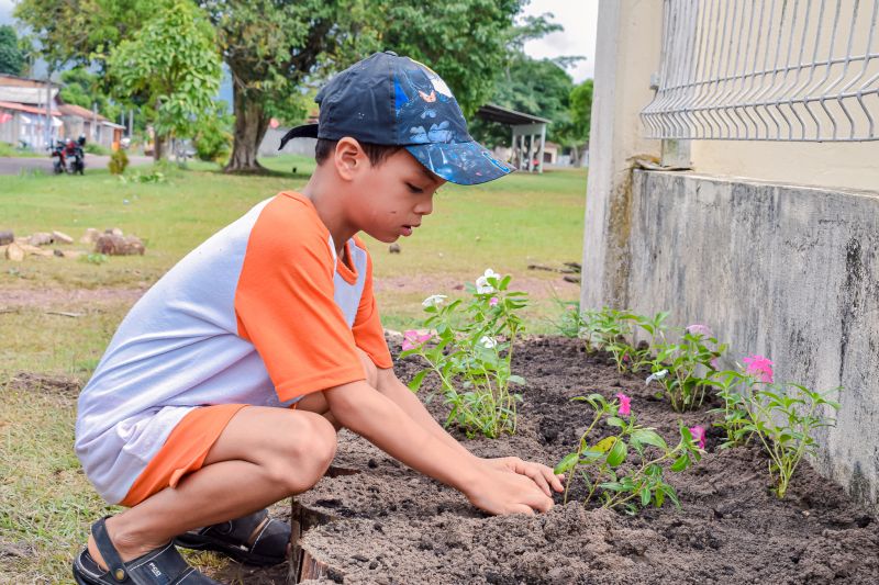  <div class='credito_fotos'>Foto: Karla Reis &nbsp;&nbsp;|&nbsp;&nbsp; <a href='/midias/2024/originais/7782_016b4315-7643-721f-b1d5-9cbb54b8141f.jpg' download><i class='fa-solid fa-download'></i> Download</a></div>