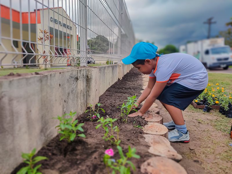  <div class='credito_fotos'>Foto: Karla Reis &nbsp;&nbsp;|&nbsp;&nbsp; <a href='/midias/2024/originais/7782_3f4e7825-3654-883a-c1ac-33c7c08b9fd7.jpg' download><i class='fa-solid fa-download'></i> Download</a></div>