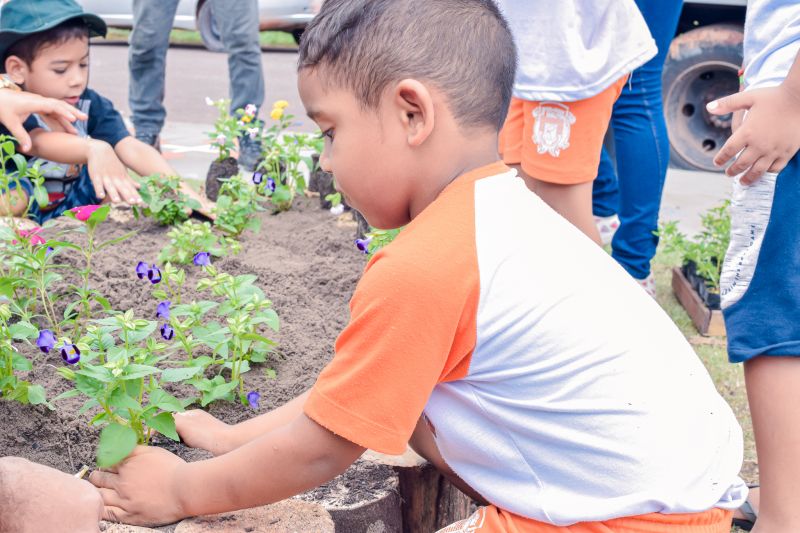  <div class='credito_fotos'>Foto: Karla Reis &nbsp;&nbsp;|&nbsp;&nbsp; <a href='/midias/2024/originais/7782_b11da7ae-8ee1-d0df-ca82-03bb38ca5ca1.jpg' download><i class='fa-solid fa-download'></i> Download</a></div>