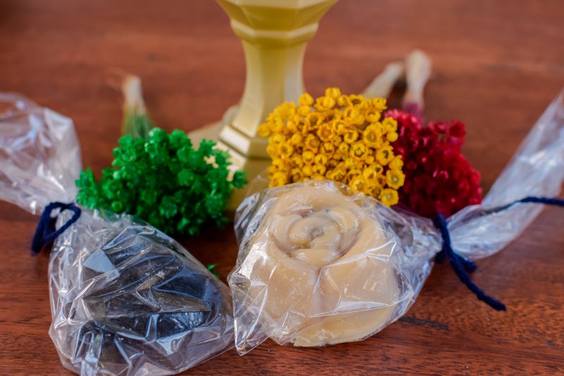  <div class='credito_fotos'>Foto: Karla Reis &nbsp;&nbsp;|&nbsp;&nbsp; <a href='/midias/2024/originais/7783_80db2a6f-4ac7-3c43-bd4a-e1814bd84f7f.jpg' download><i class='fa-solid fa-download'></i> Download</a></div>