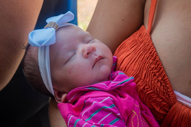  <div class='credito_fotos'>Foto: Karla Reis &nbsp;&nbsp;|&nbsp;&nbsp; <a href='/midias/2024/originais/7787_71ba61b0-ffdb-d383-ef49-65e05de36434.jpg' download><i class='fa-solid fa-download'></i> Download</a></div>