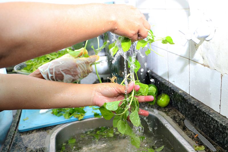 Manipulação de alimentos ESCOLA FIORE ENTREGA DOS CERTIFICADOS <div class='credito_fotos'>Foto: Márcio Souza &nbsp;&nbsp;|&nbsp;&nbsp; <a href='/midias/2024/originais/7809_f108d6b3-5e0b-d614-685f-b53fdb8f3ef6.jpg' download><i class='fa-solid fa-download'></i> Download</a></div>