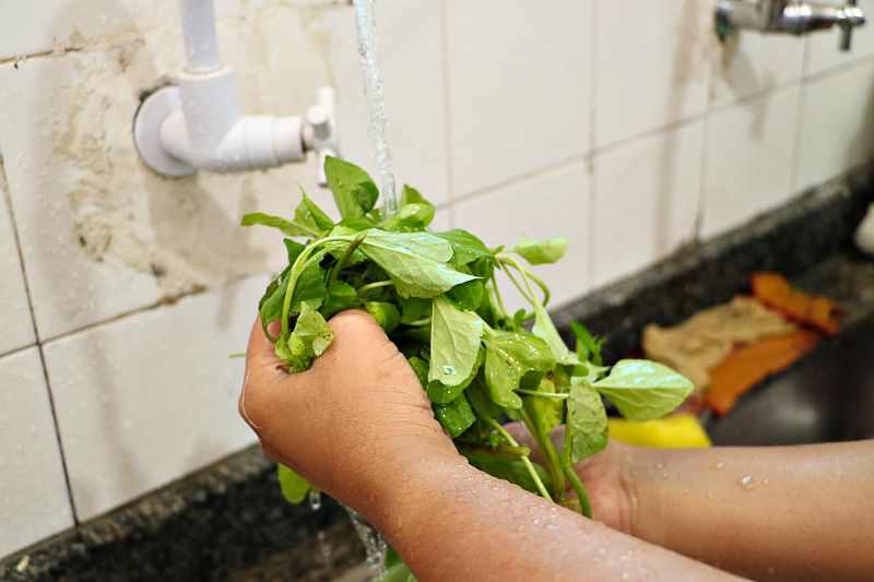Manipulação de alimentos ESCOLA FIORE ENTREGA DOS CERTIFICADOS <div class='credito_fotos'>Foto: Márcio Souza &nbsp;&nbsp;|&nbsp;&nbsp; <a href='/midias/2024/originais/7809_f5445e1c-226a-d8ed-9f1b-e567681cd7d6.jpg' download><i class='fa-solid fa-download'></i> Download</a></div>