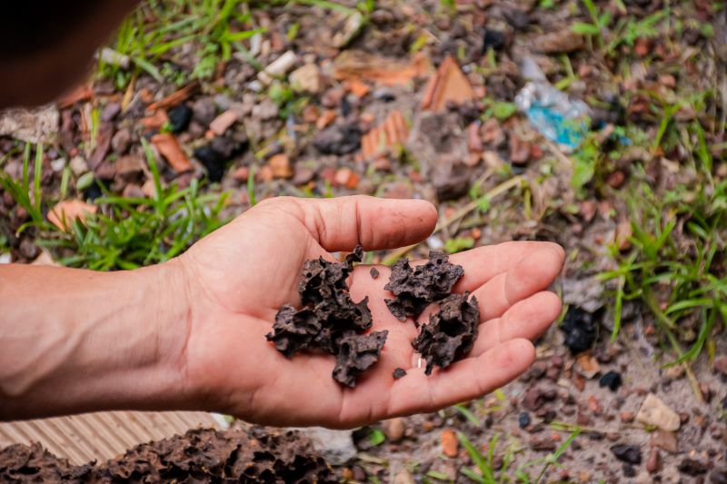  <div class='credito_fotos'>Foto: Karla Reis &nbsp;&nbsp;|&nbsp;&nbsp; <a href='/midias/2024/originais/7810_f63e1141-f2c9-8eae-e6b1-704db98f031e.jpg' download><i class='fa-solid fa-download'></i> Download</a></div>