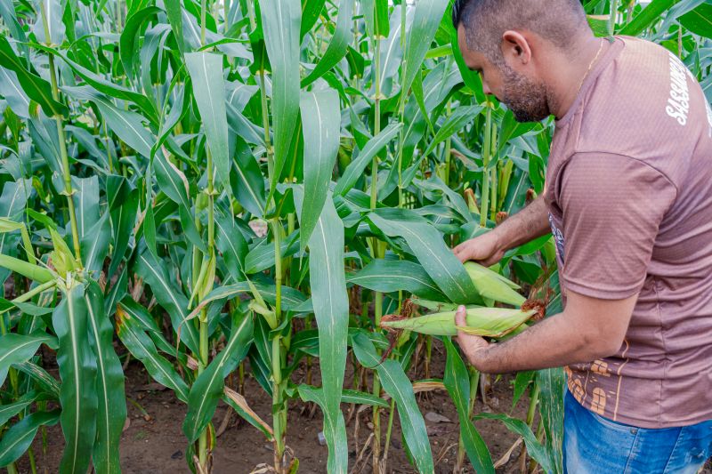  <div class='credito_fotos'>Foto: Karla Reis &nbsp;&nbsp;|&nbsp;&nbsp; <a href='/midias/2024/originais/7815_7e1a821b-0d19-92b5-c4ee-9d129d521694.jpg' download><i class='fa-solid fa-download'></i> Download</a></div>