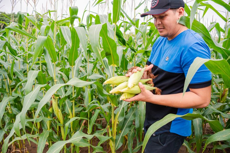  <div class='credito_fotos'>Foto: Karla Reis &nbsp;&nbsp;|&nbsp;&nbsp; <a href='/midias/2024/originais/7815_d0fcfcc5-6043-06cb-860e-a5e6dd7bd638.jpg' download><i class='fa-solid fa-download'></i> Download</a></div>