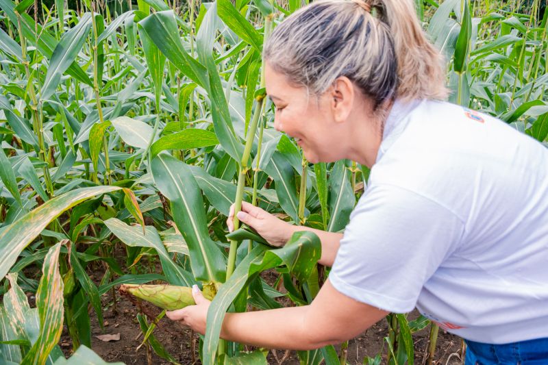  <div class='credito_fotos'>Foto: Karla Reis &nbsp;&nbsp;|&nbsp;&nbsp; <a href='/midias/2024/originais/7815_dd94788f-512d-27e3-adba-a7a5d550ab11.jpg' download><i class='fa-solid fa-download'></i> Download</a></div>