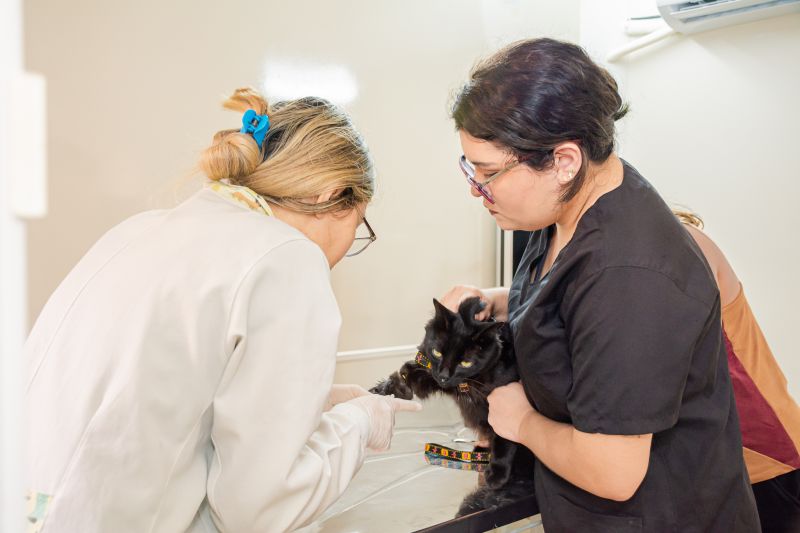  <div class='credito_fotos'>Foto: Karla Reis &nbsp;&nbsp;|&nbsp;&nbsp; <a href='/midias/2024/originais/7821_118a56f5-ccc5-6367-7c4e-9deceb52480e.jpg' download><i class='fa-solid fa-download'></i> Download</a></div>