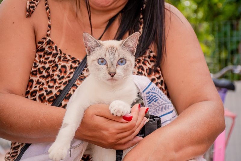  <div class='credito_fotos'>Foto: Karla Reis &nbsp;&nbsp;|&nbsp;&nbsp; <a href='/midias/2024/originais/7821_15c51e26-3917-155f-f802-dcf3c80f2a1c.jpg' download><i class='fa-solid fa-download'></i> Download</a></div>