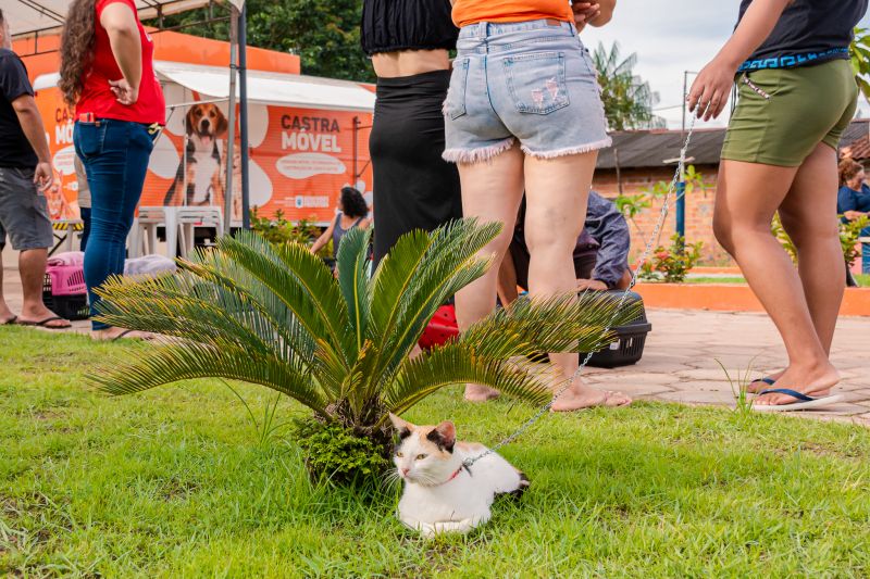  <div class='credito_fotos'>Foto: Karla Reis &nbsp;&nbsp;|&nbsp;&nbsp; <a href='/midias/2024/originais/7821_8c7da1b6-9fe8-ce29-81b3-d0e6e938644a.jpg' download><i class='fa-solid fa-download'></i> Download</a></div>