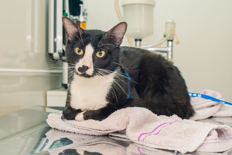  <div class='credito_fotos'>Foto: Karla Reis &nbsp;&nbsp;|&nbsp;&nbsp; <a href='/midias/2024/originais/7821_aaaf0105-343b-2e30-c853-6eb5b96fec34.jpg' download><i class='fa-solid fa-download'></i> Download</a></div>