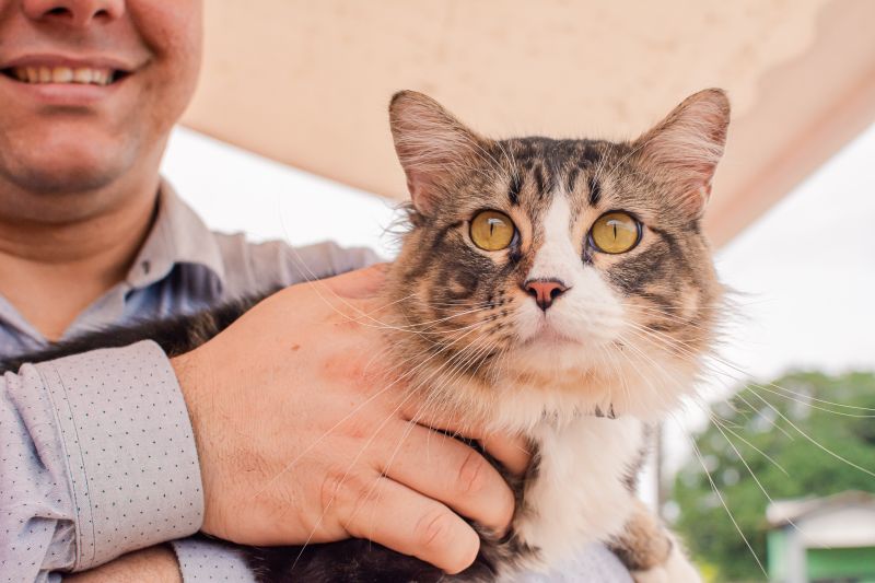  <div class='credito_fotos'>Foto: Karla Reis &nbsp;&nbsp;|&nbsp;&nbsp; <a href='/midias/2024/originais/7821_c5f0fbd4-914e-1211-0491-2ecb4bd3f832.jpg' download><i class='fa-solid fa-download'></i> Download</a></div>