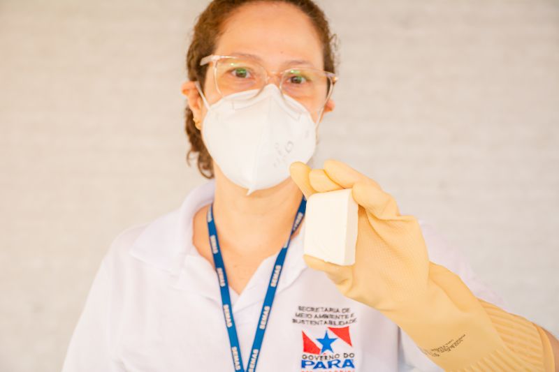  <div class='credito_fotos'>Foto: Karla Reis &nbsp;&nbsp;|&nbsp;&nbsp; <a href='/midias/2024/originais/7840_45a48d78-0905-a7dd-da2c-b45659f05479.jpg' download><i class='fa-solid fa-download'></i> Download</a></div>