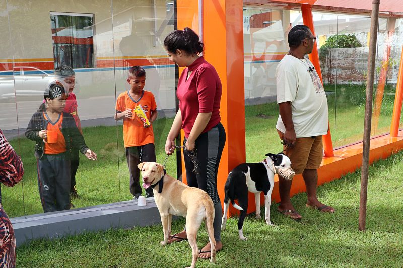 Açao Castra Móvel em Sta Maria <div class='credito_fotos'>Foto: Márcio Souza &nbsp;&nbsp;|&nbsp;&nbsp; <a href='/midias/2024/originais/7893_50708c49-8e62-3daf-138d-e9024417f1ec.jpg' download><i class='fa-solid fa-download'></i> Download</a></div>