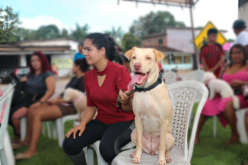 Açao Castra Móvel em Sta Maria <div class='credito_fotos'>Foto: Márcio Souza &nbsp;&nbsp;|&nbsp;&nbsp; <a href='/midias/2024/originais/7893_be6fa671-fe95-7473-38b4-1aa6b8e12c72.jpg' download><i class='fa-solid fa-download'></i> Download</a></div>