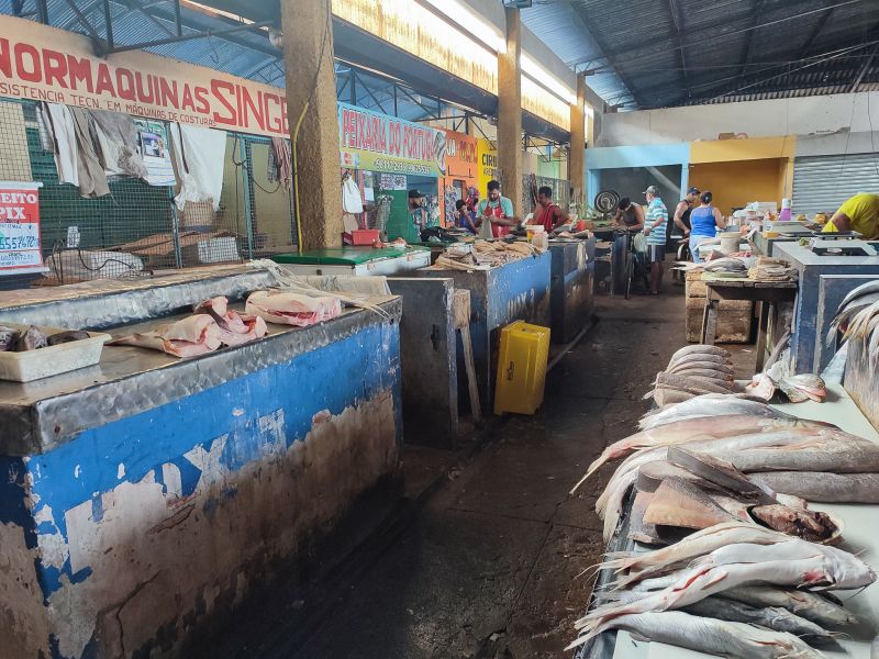  <div class='credito_fotos'>Foto: Karla Reis &nbsp;&nbsp;|&nbsp;&nbsp; <a href='/midias/2024/originais/7912_29e54b79-4299-7b54-f34f-5f8a07b1fe9b.jpg' download><i class='fa-solid fa-download'></i> Download</a></div>