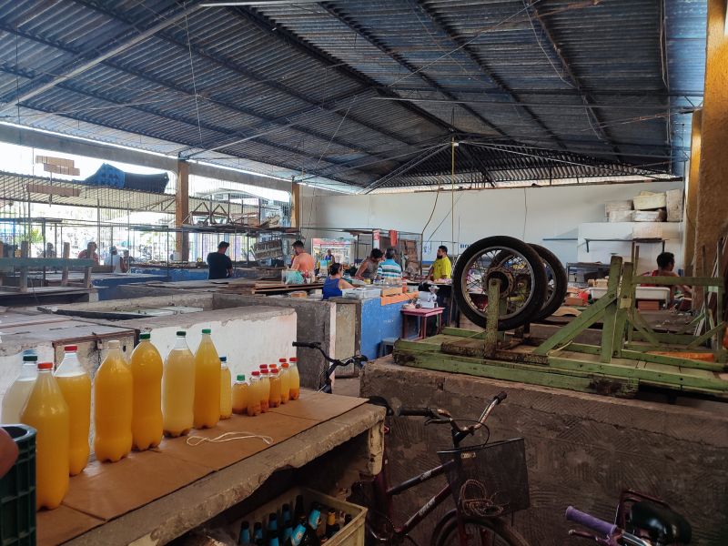  <div class='credito_fotos'>Foto: Karla Reis &nbsp;&nbsp;|&nbsp;&nbsp; <a href='/midias/2024/originais/7912_595297fc-9fc4-9ab7-d4f8-8f3e71b532d0.jpg' download><i class='fa-solid fa-download'></i> Download</a></div>